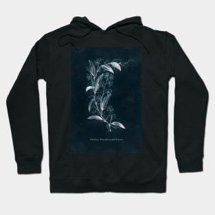 Cyanotype - Smilax Pseudosyphilitica Hoodie